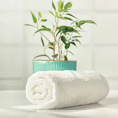 Buy Face Towels Online