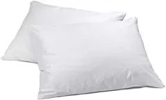 Shop Pillows & Pillow Protectors