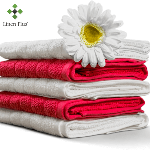 Why Your Business Should Switch to Eco-Friendly Bulk Towels in Canada